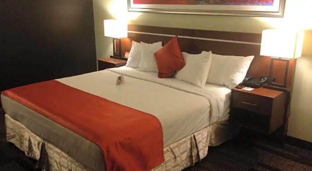 Четырёхместный номер Standard Bedfort Inn & Suites