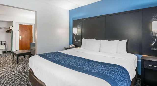 Двухместный люкс Comfort Inn Gainesville - University Area