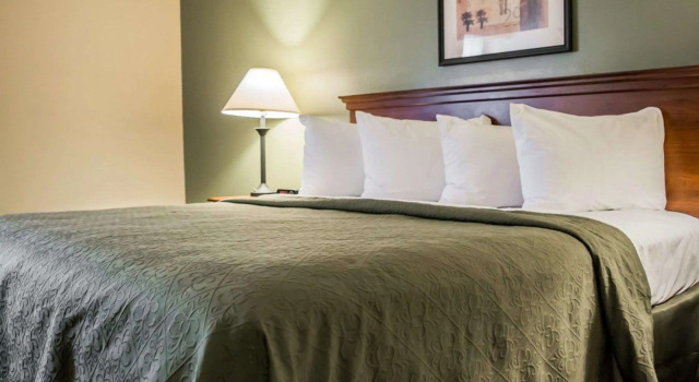 Quality Inn & Suites Tampa near Fairgrounds and Casino