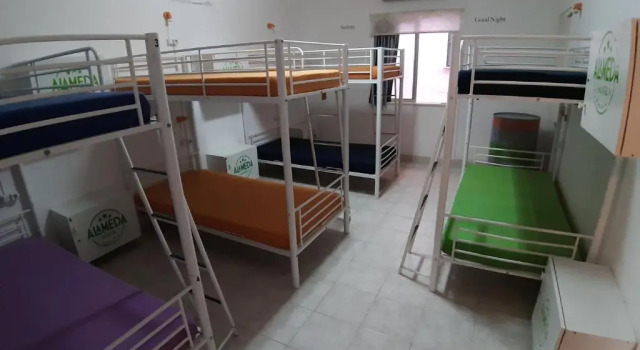 Кровать в общем номере Alameda Hostel