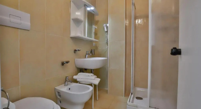 Двухместный номер Standard Hotel Delfa