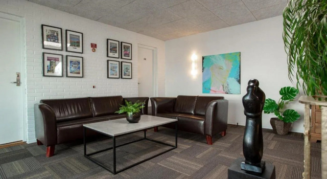 Dolphin Hotel Herning