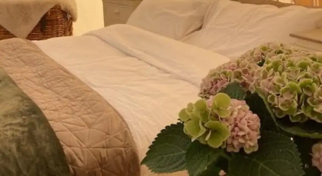 Flower Farm Glamping Retreat in Suffolk, Buchen Sie Campingplatz Camping & Glamping in Ipswich, Campingplatz
