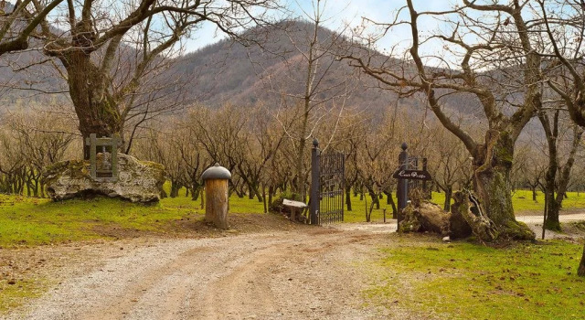 Agriturismo Casale Pie D'eco