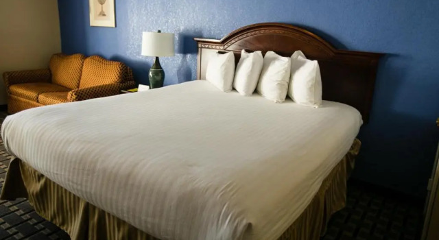 Номер Standard Anaheim Carriage Inn