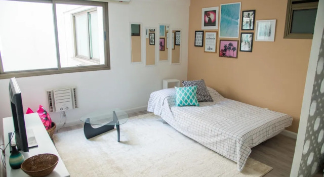 Bull House - Ipanema Flat - 161017