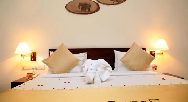 Двухместный номер Deluxe Grand Udawalawe Safari Resort