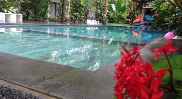 Кровать в общем номере Arjuna Homestay