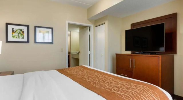 Люкс Comfort Inn & Suites Cordele