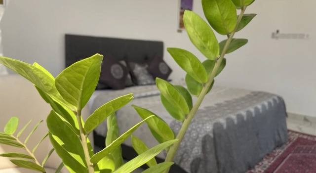 Вилла Luxury Jawharat Bidiah Resort