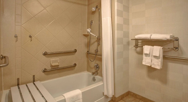 Двухместный номер Standard Hampton Inn & Suites Greenville-Downtown-Riverplace