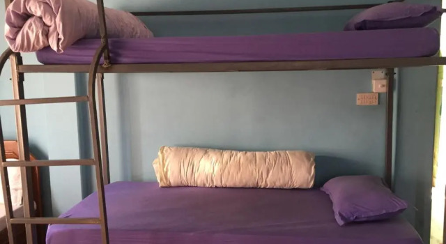 Nepalaya Eco Hostel