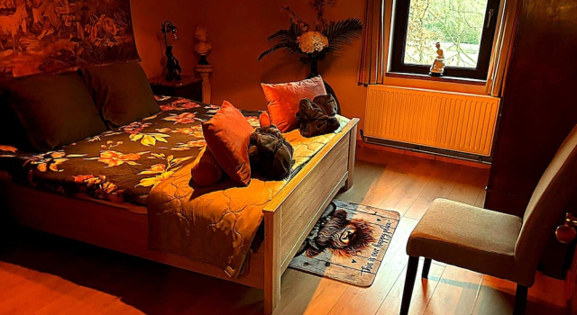 Dog-friendly Home With Bubble Bath, Забронировать Дом для отпуска Коттеджи Буйон, Коттедж