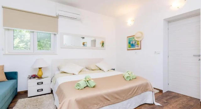 Апартаменты c 1 комнатой Camelia Luxury Apartments