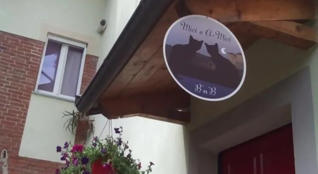 Mici e A-Mici B&B