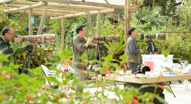 Номер Standard Birdwatchers House y Lodge