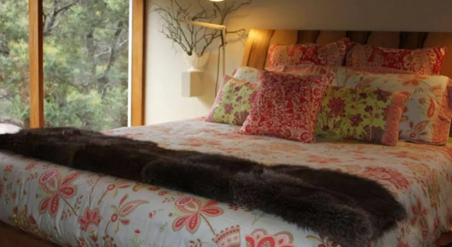The Trig On Mount Arthur, Buchen Sie Hotel Grindelwald Tamar Valley