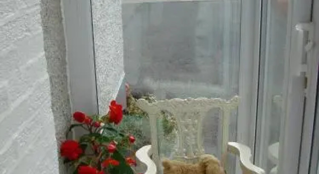 Teac Watties Bed and Breakfast, Prenota Hotel Cashel 