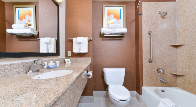Четырёхместный номер Standard Fairfield Inn and Suites by Marriott Elk Grove
