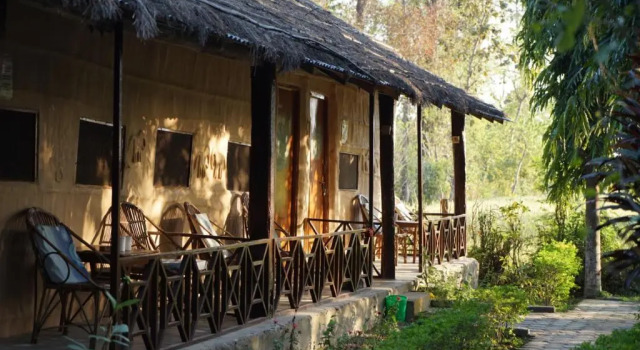 Номер Economy Forest Hideaway Resort Pvt Ltd