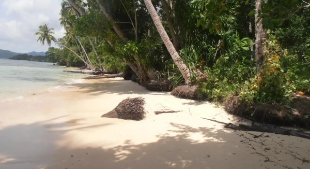 Alter Native Stay, Buchen Sie Ferienwohnung Waisai Westpapua