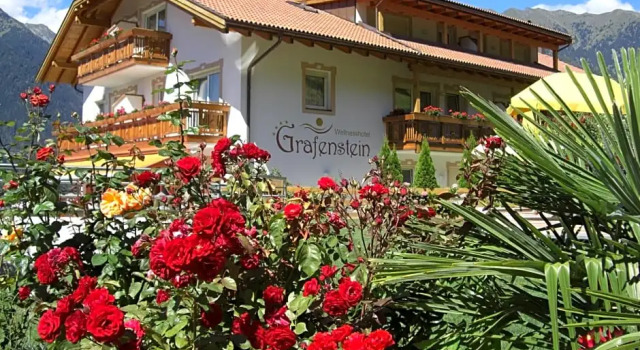 Номер Standard Adults only Hotel Grafenstein