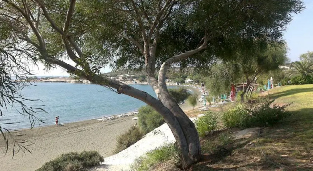 Villa Melissa, Rezervovat Vila Psematismenos Larnaca