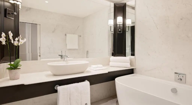 Двухместный номер Deluxe Fairmont Windsor Park