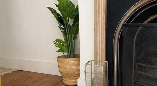 Rustic 2 Bedroom Flat in Brixton