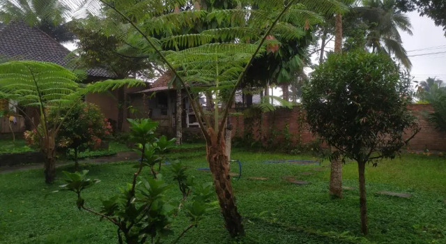 Номер Economy Green Haven Homestay