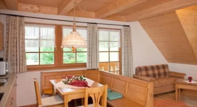 Апартаменты c 1 комнатой Hotel & Restaurant Grüner Baum - Die Grüne Oase Am Feldberg