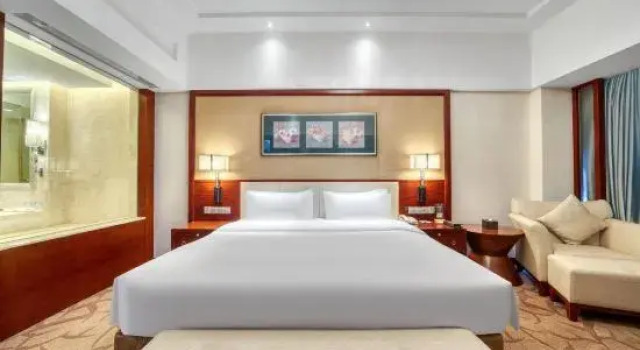 Люкс Business Xiangsheng Century Hotel
