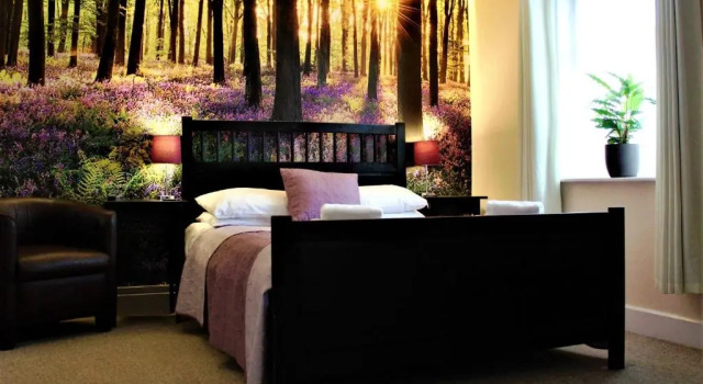 Номер Comfort The Dove Inn
