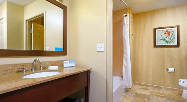 Люкс с видом на бассейн Hampton Inn & Suites Tucson Mall