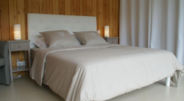 Luxurious Holiday Home in Delain with bubble bath, Book Hotel Hotels in Burgundy with a Pool, Swimming Pool