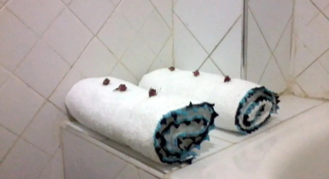 Süit Hôtel Tijani