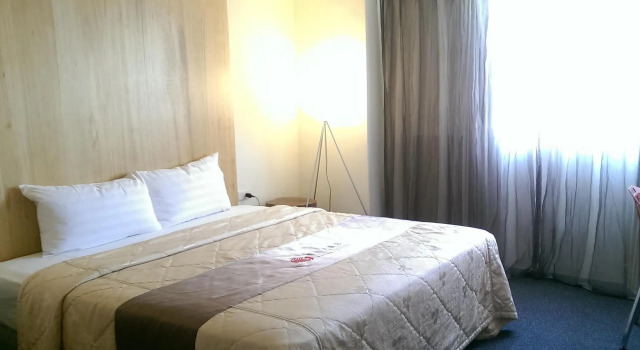 Standardní Dvoulůžkový s manželskou postelí pokoj River Hotel