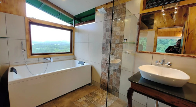 Двухместный номер Luxury с балконом и с красивым видом из окна The Arboreal Resort
