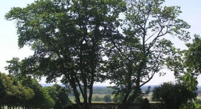 Люкс Chambres dHôtes Le Château de la Plante