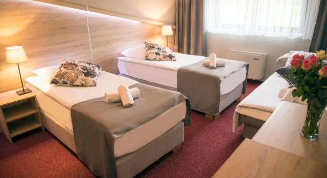 Номер Classic Hotel Dolenjc