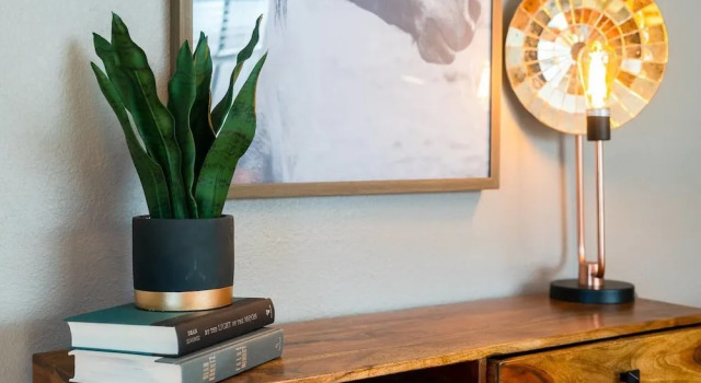 The Creative Highland Home, Book Feriehus Villaer i Denver, Villa