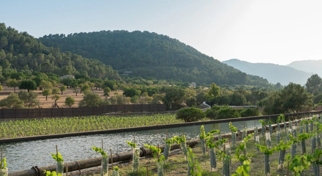 Rondaia Boutique Vineyard Stay – Mallorca, Tramuntana