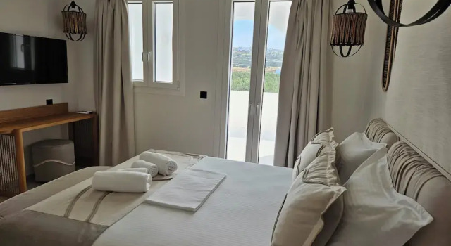 Люкс Premium Aristotle Suites