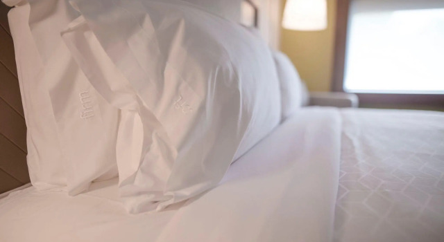 Двухместный номер Standard Holiday Inn Express Athens - University Area by IHG