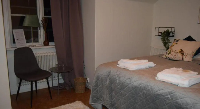 Номер Economy Snöå Bruk Hotell och konferens
