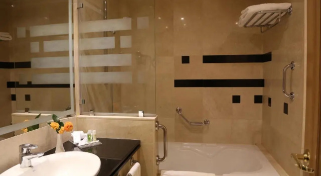 Одноместный номер Standard Gran Hotel Los Abetos