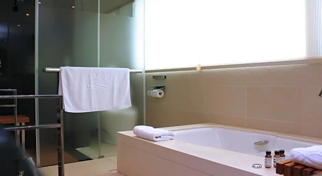 Двухместный номер Premier Hotel Eclat Taipei