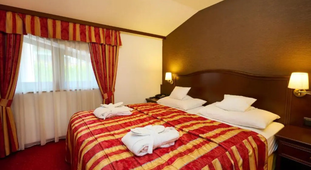 Двухместный номер Standard Hotel Zur Burg