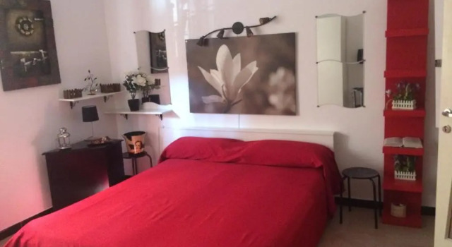 Standard Zimmer Flower