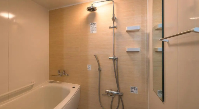 Номер Deluxe The Kanazawa Sainoniwa Hotel